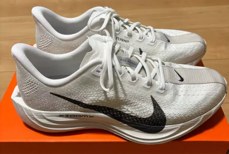 NIKE Pegasus Plus ペガサスプラス ランニングシューズレビュー】NIKE ペガサスプラス（PEGASUS PLUS